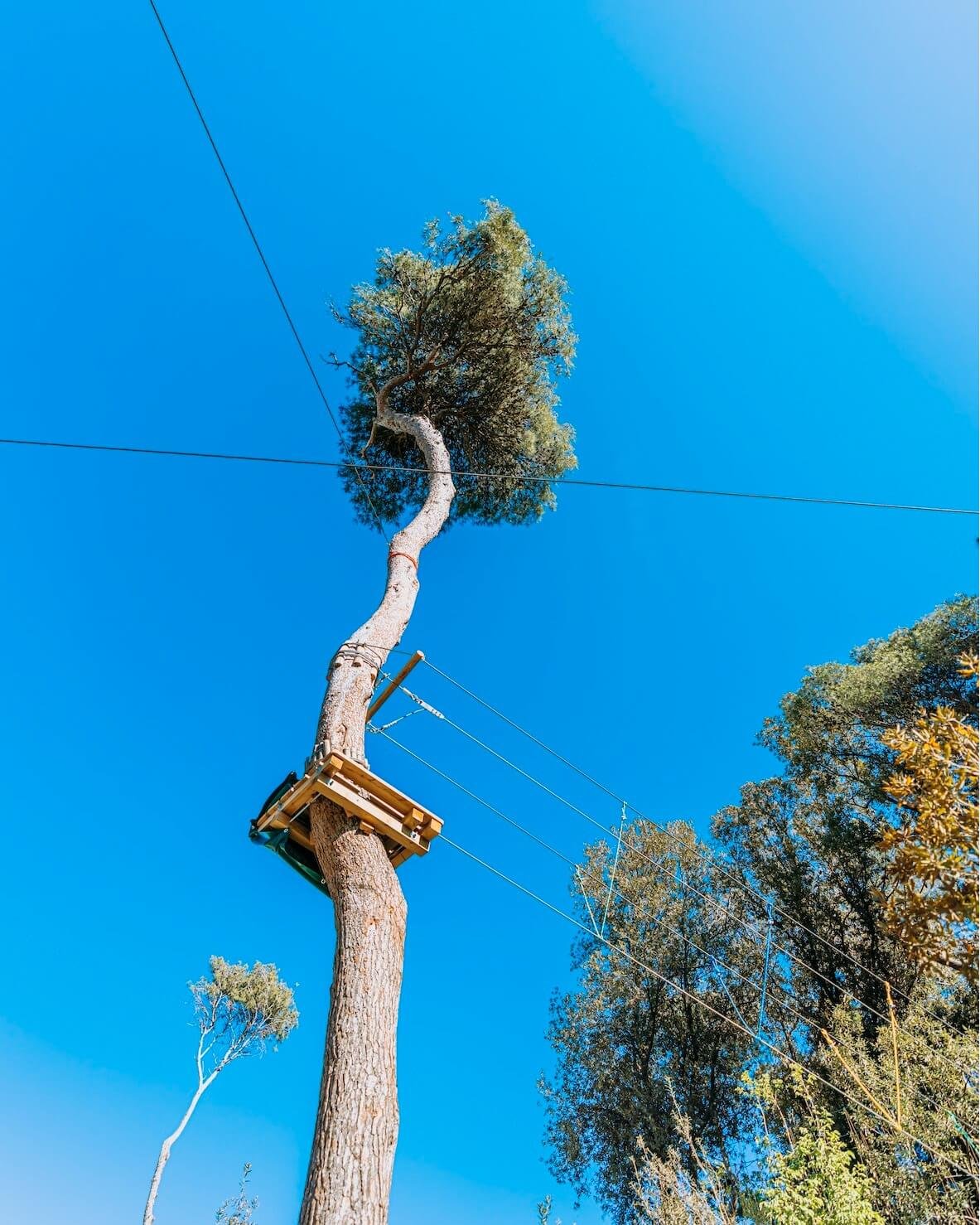 377508352_860578278962742_5237954836966056996_n