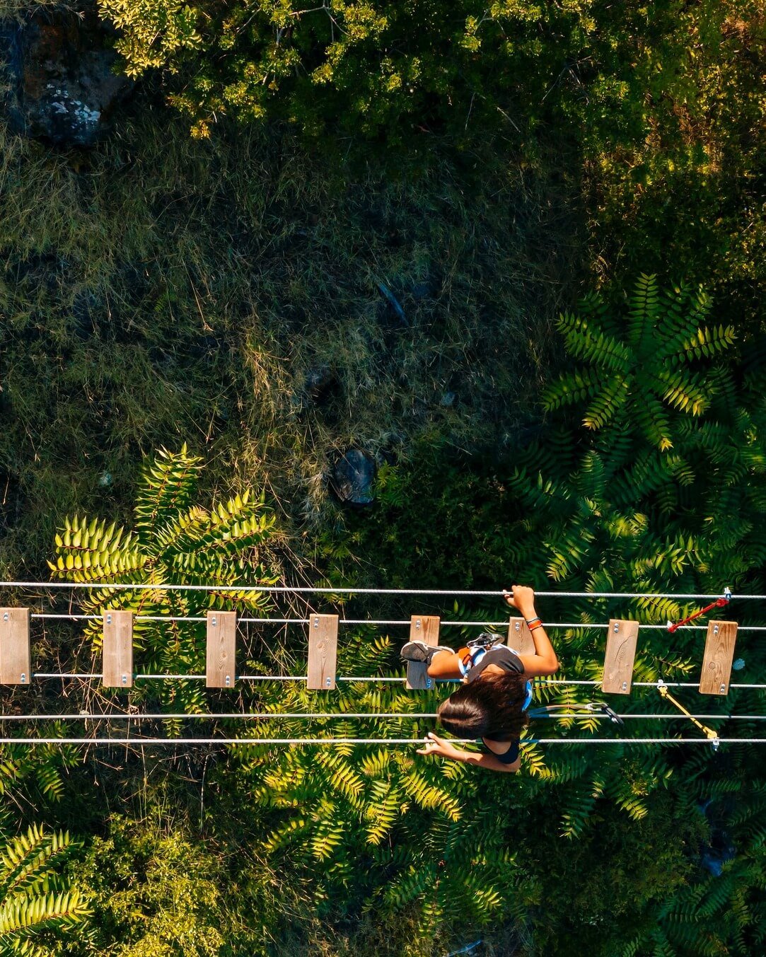 437557493_1003723047981597_25216633408616413_n