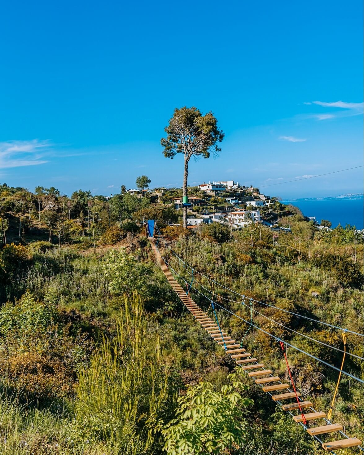 445826900_1037598301260738_5794145776684643069_n