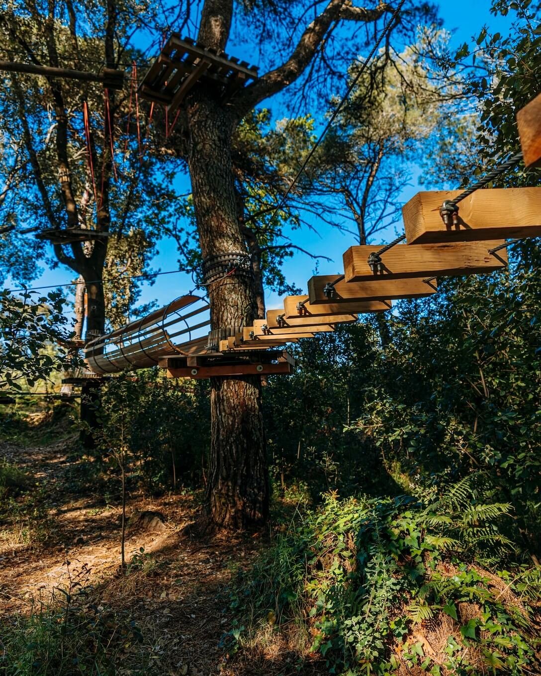 447729012_1037596911260877_4408394425449203757_n