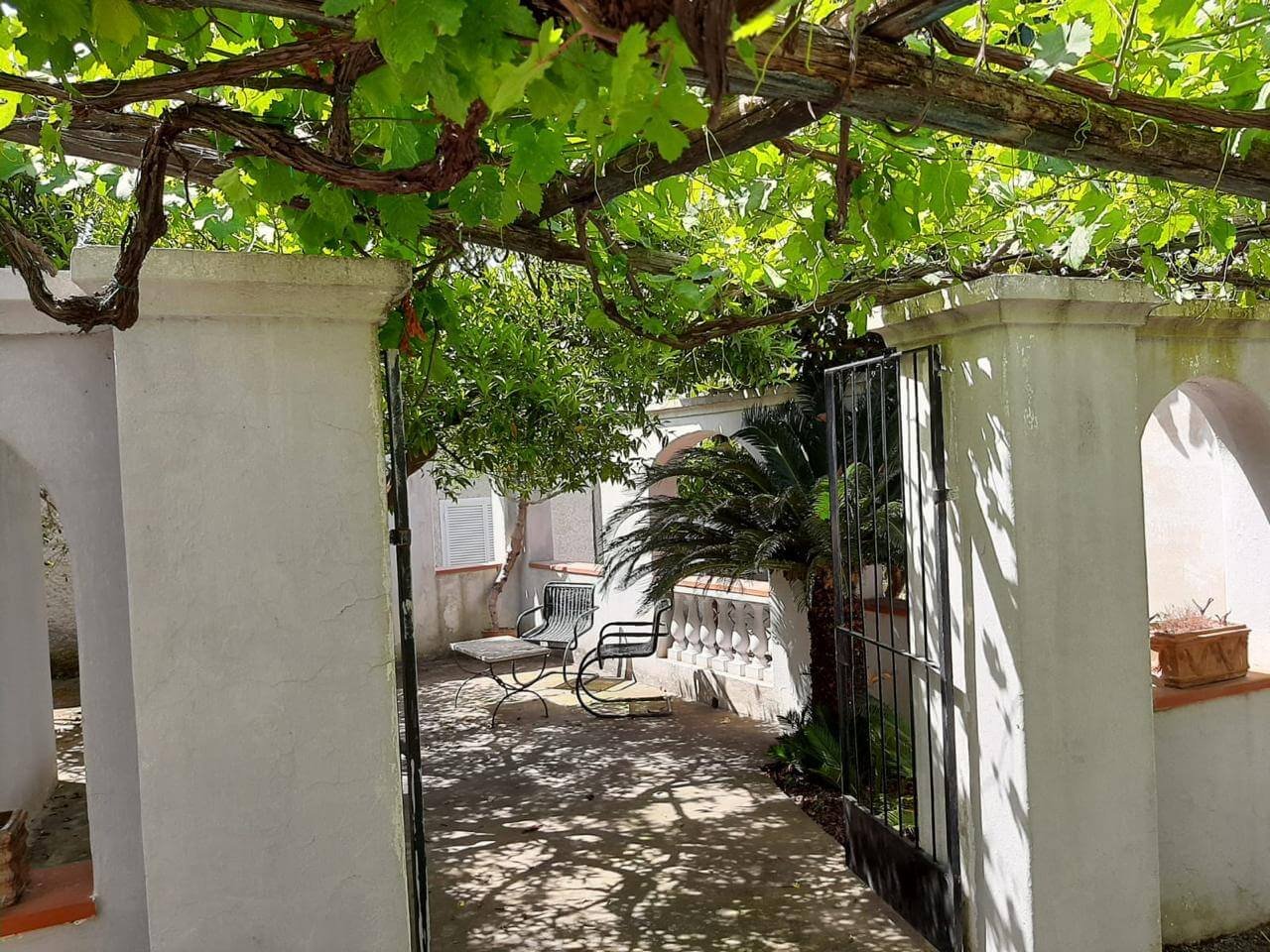 WhatsApp Image 2024-06-24 at 8.42.58 PM (2)