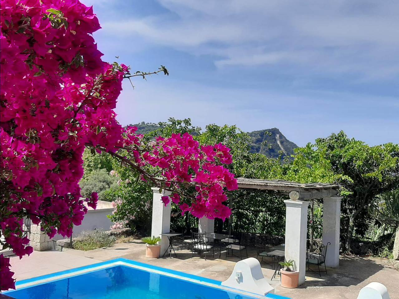 WhatsApp Image 2024-06-24 at 8.42.58 PM