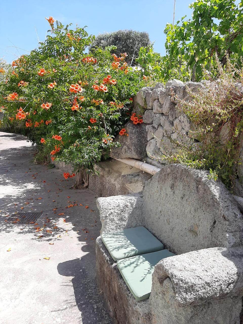 WhatsApp Image 2024-06-24 at 8.42.59 PM (1)