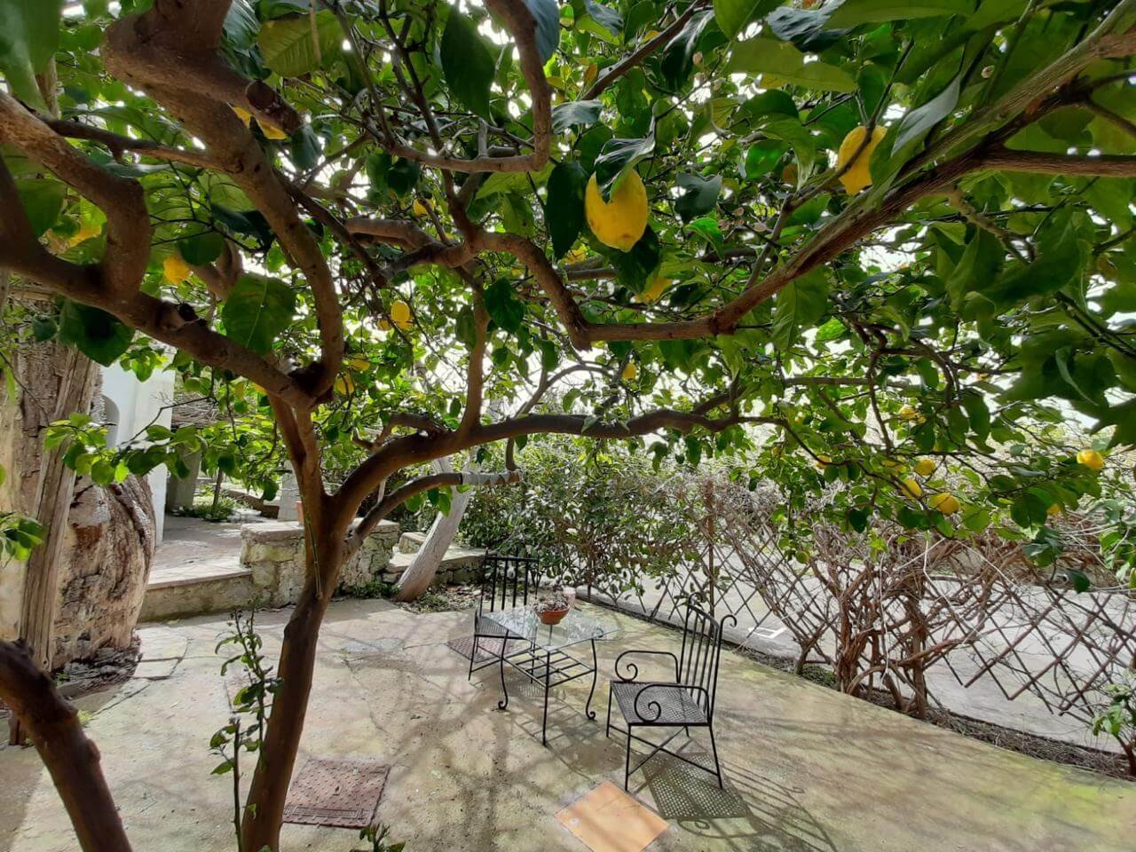 WhatsApp Image 2024-06-24 at 8.42.59 PM (2)