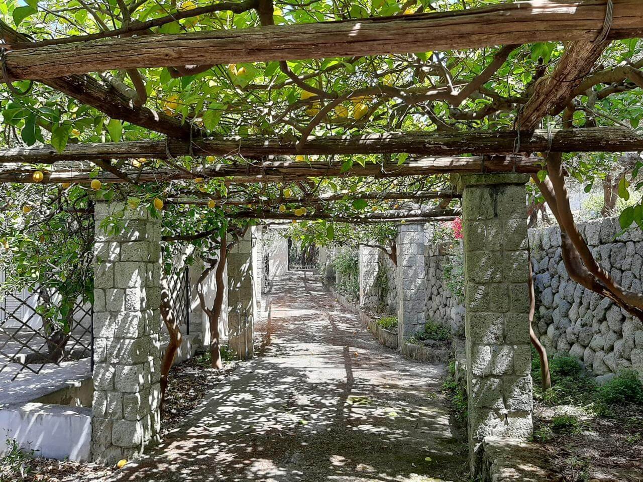 WhatsApp Image 2024-06-24 at 8.42.59 PM