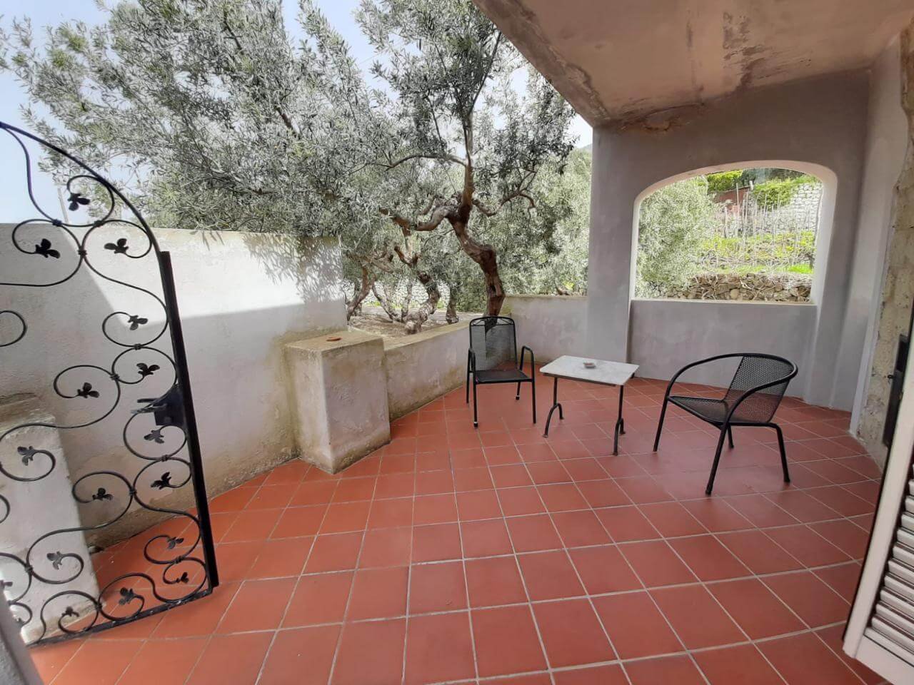 WhatsApp Image 2024-06-24 at 8.43.00 PM