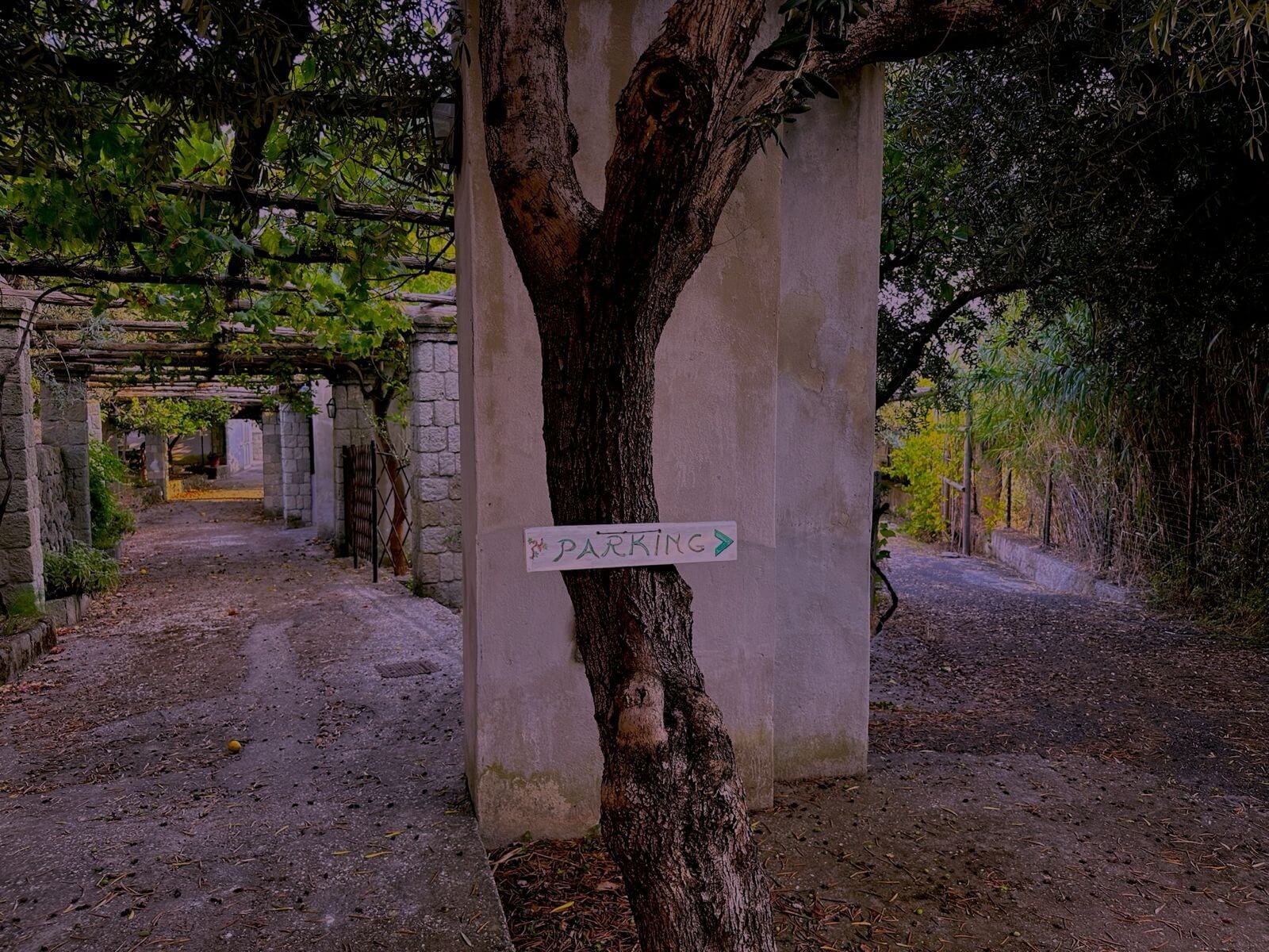 WhatsApp Image 2024-06-24 at 8.43.04 PM