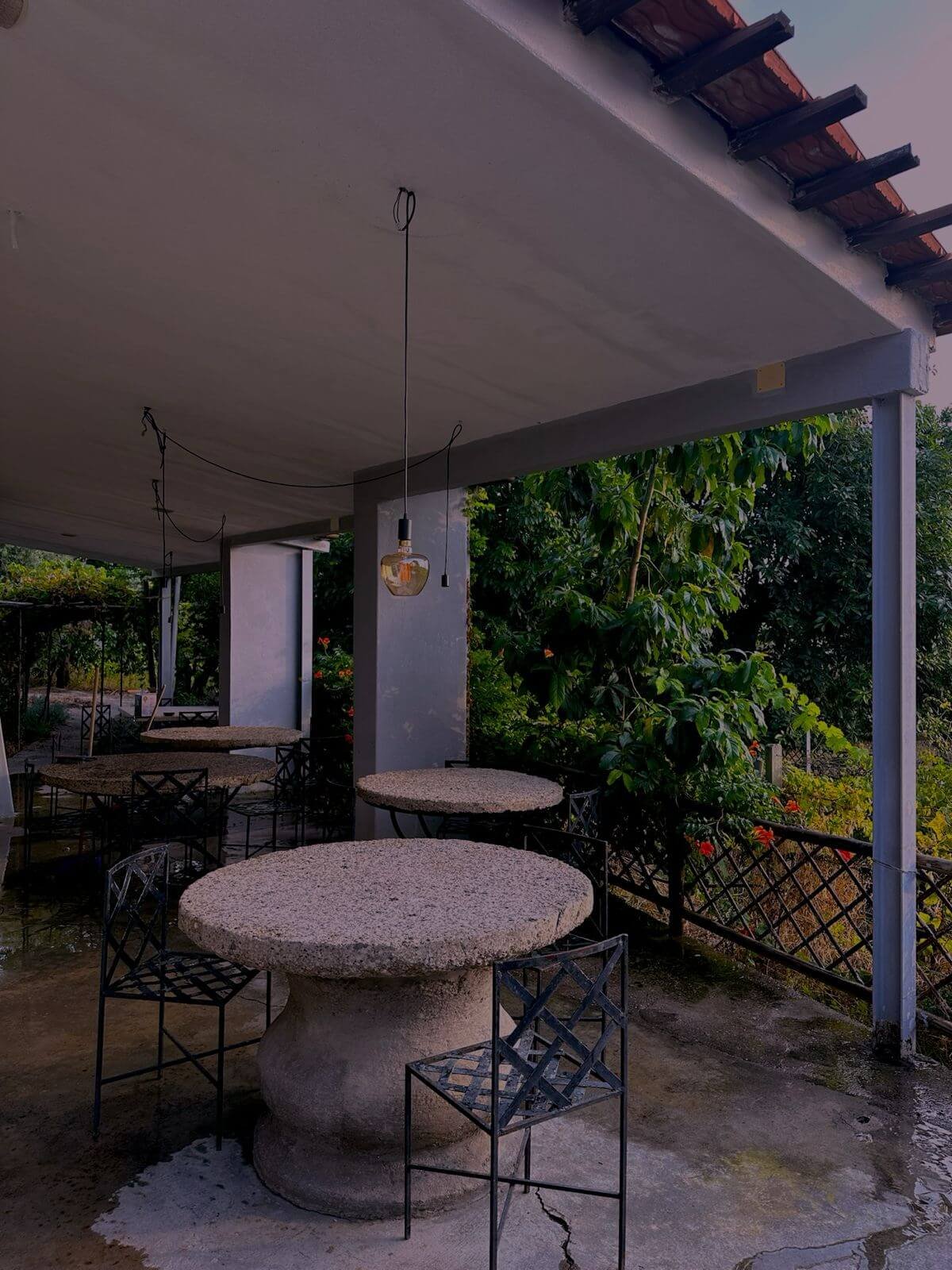 WhatsApp Image 2024-06-24 at 8.43.06 PM (1)