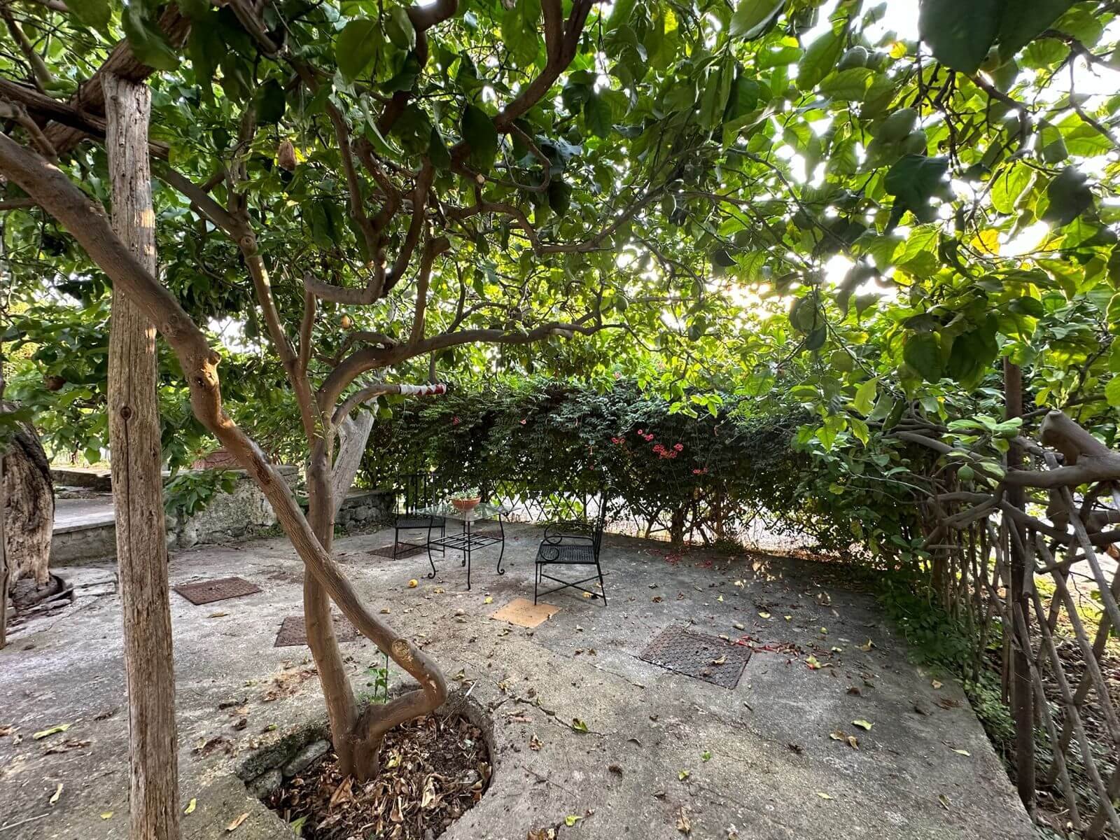 WhatsApp Image 2024-06-24 at 8.43.06 PM (2)