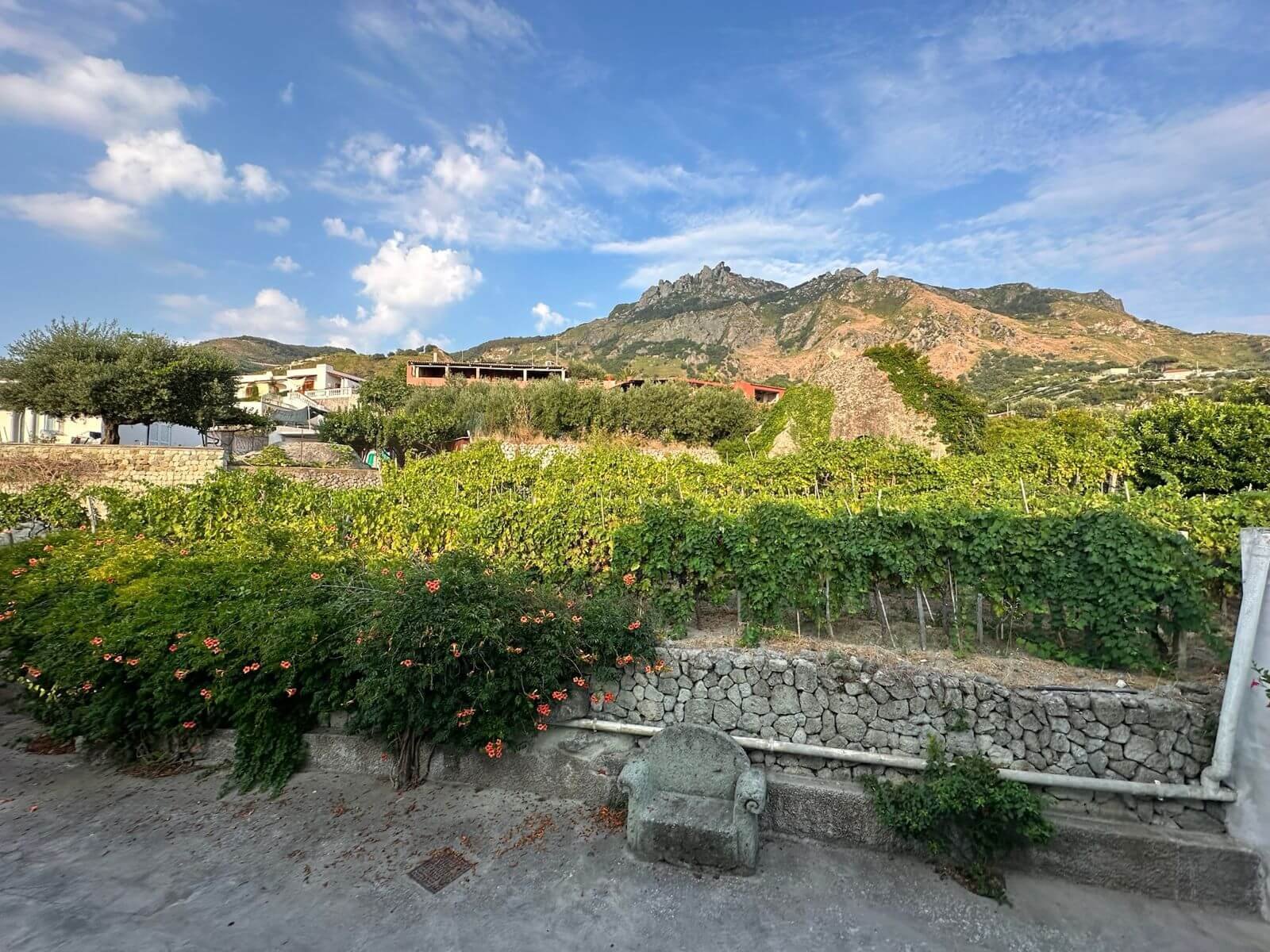 WhatsApp Image 2024-06-24 at 8.43.06 PM (3)