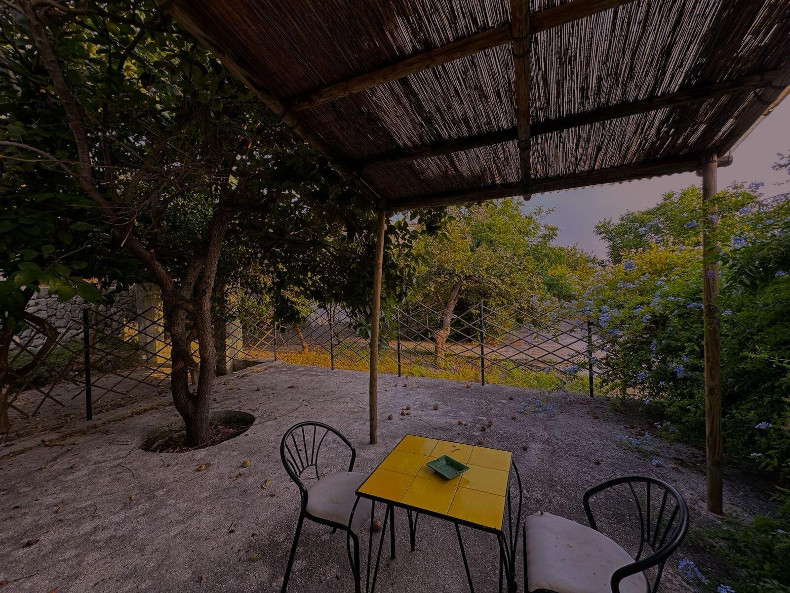 WhatsApp Image 2024-06-24 at 8.43.06 PM