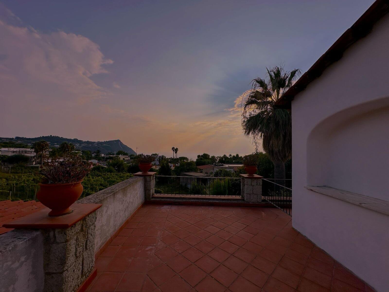 WhatsApp Image 2024-06-24 at 8.43.10 PM (1)