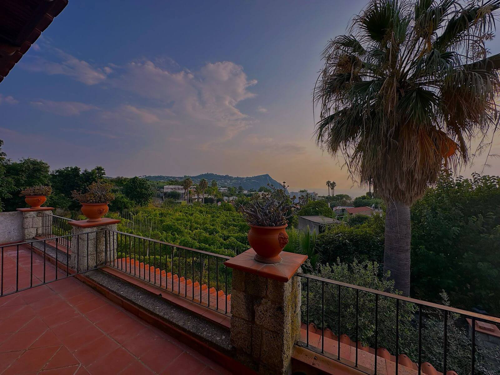 WhatsApp Image 2024-06-24 at 8.43.10 PM (3)