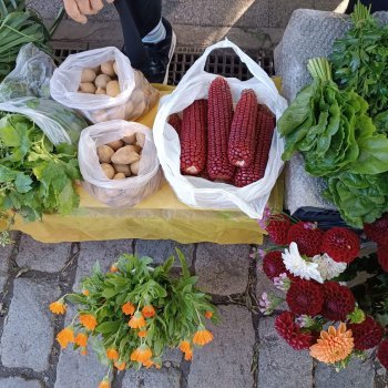 476419934_122196365006242454_3172259755415200397_n